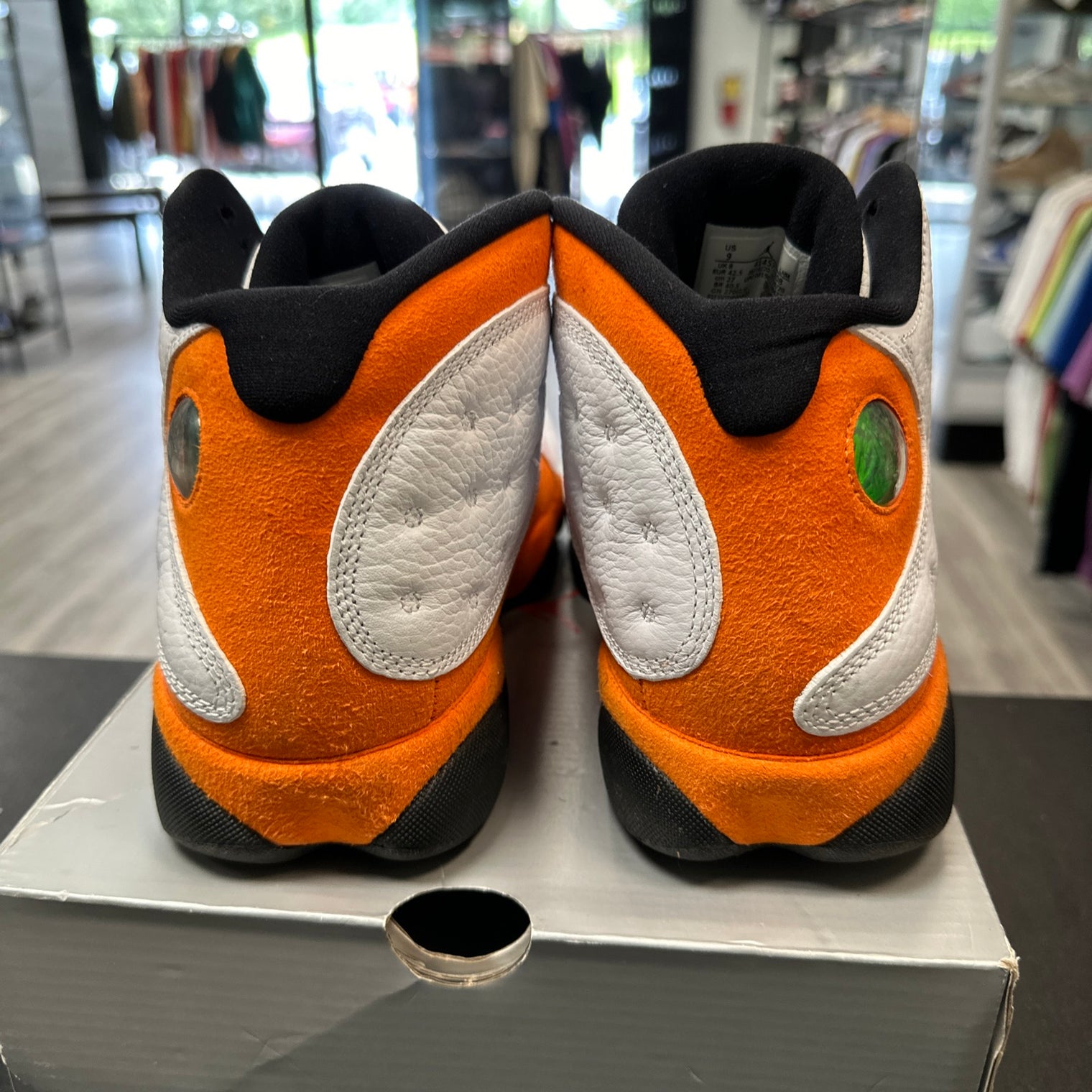 Starfish Jordan 13 (USED)