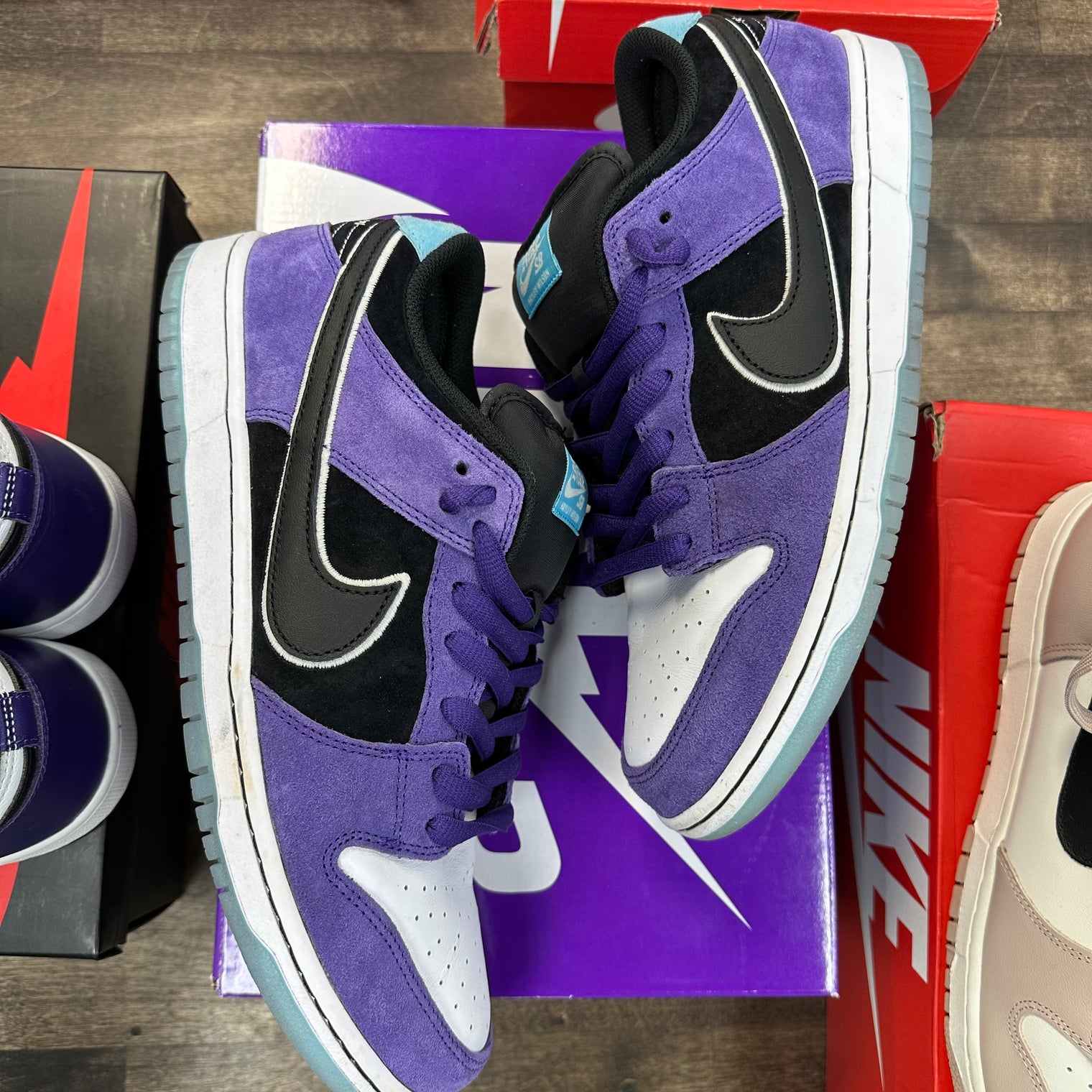 Hayley Wilson Nike SB Dunk Low (USED)