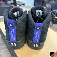 Black Dark Concord Jordan 12 (USED)