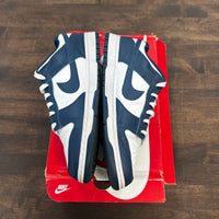 Valerian Dunk Low (USED)