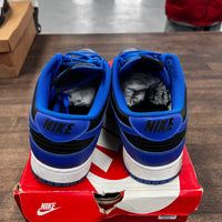 Cobalt Dunk Low (USED)