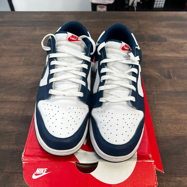 Valerian Dunk Low (USED)