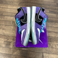 Hayley WIlson Nike SB Dunk low (USED)