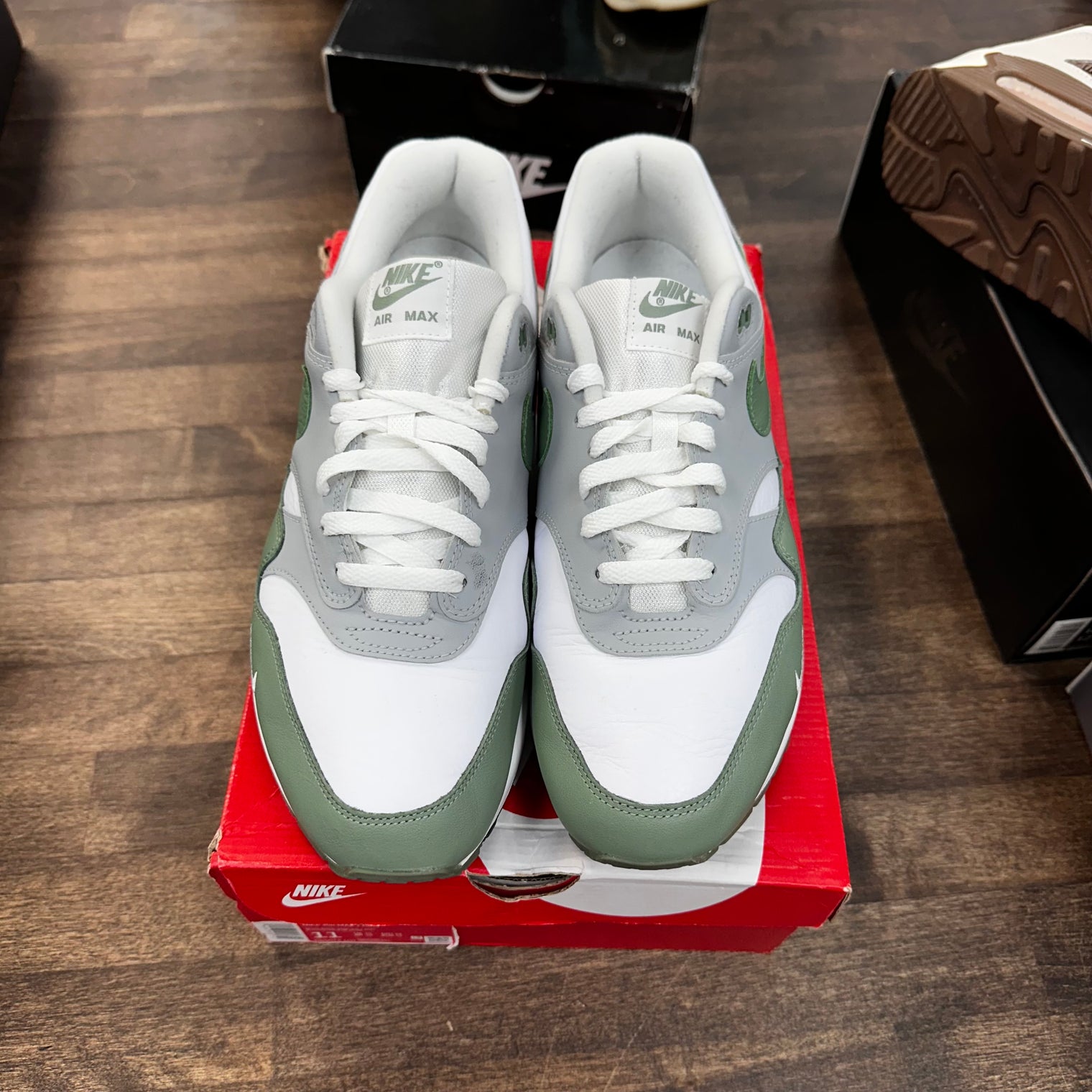 Spiral Sage Air Max 1 (USED)