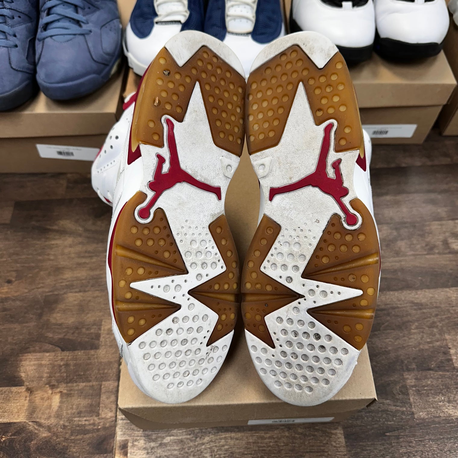 Alternate Jordan 6 (USED, No Box)