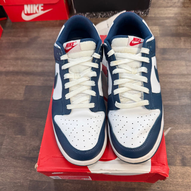 Valerian Blue Nike Dunk Low (USED)