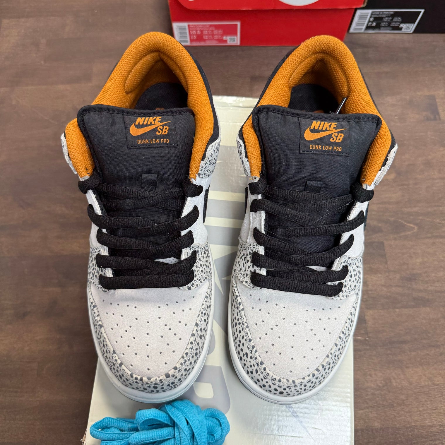 Olympic Safari Electric Pack Nike SB Dunk Low (USED)
