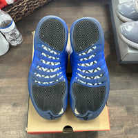 Blueberry Jordan 12 Retro (USED)