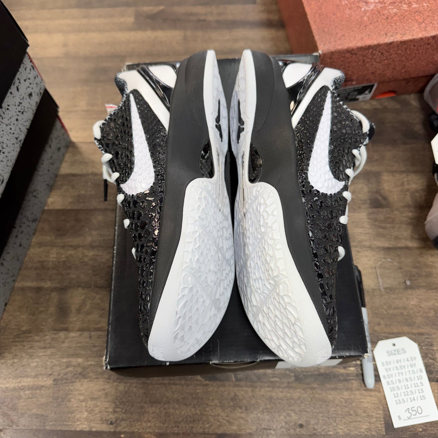 Mambacita Sweet 16 Nike Kobe 6 Protro (Lightly Worn)