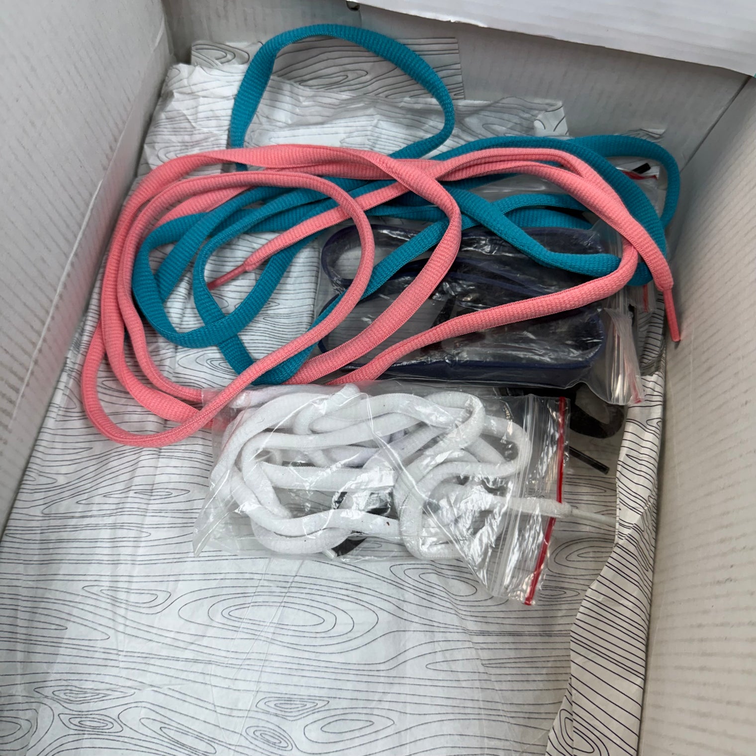 Concepts Purple Lobster Nike SB Dunk Low (USED)