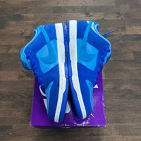 Blue Raspberry SB Dunk Low (USED)
