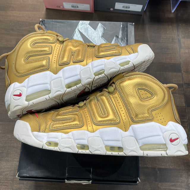 Supreme Uptempo Gold (USED)