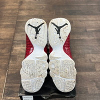 (GS) White Gym Red Jordan 9 (USED)