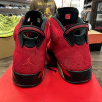 Toro Bravo Jordan 6 Retro (USED)