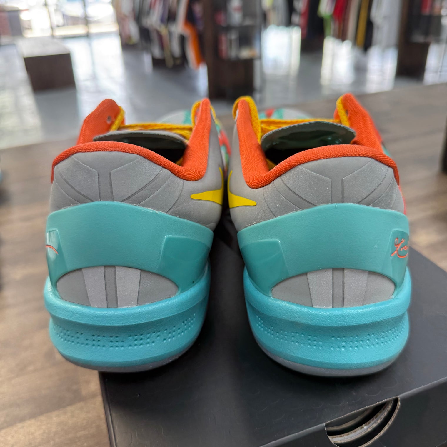 Venice Beach Kobe 8 Protro (USED)