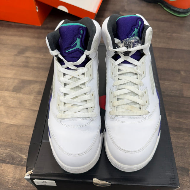 Grape Jordan 5 (2013) (USED)