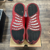 Cherry Jordan 12 Retro (USED)
