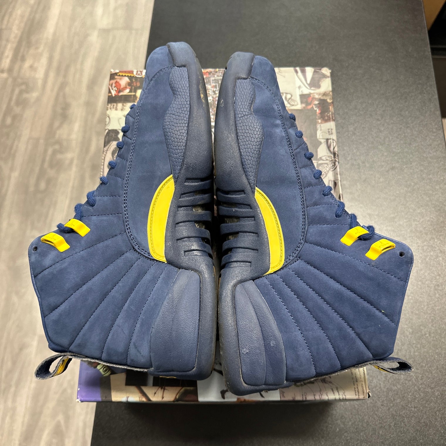 Michigan Jordan 12 (USED)