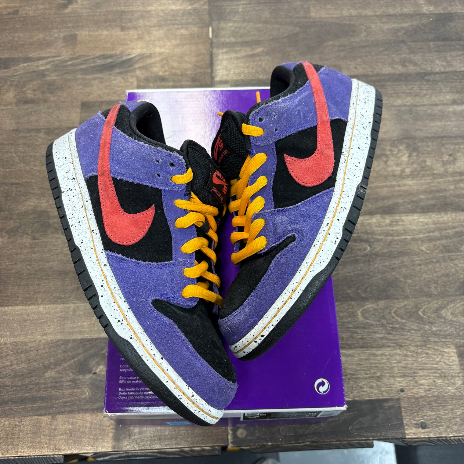 ACG Terra Nike SB Dunk Low (USED,No Box)