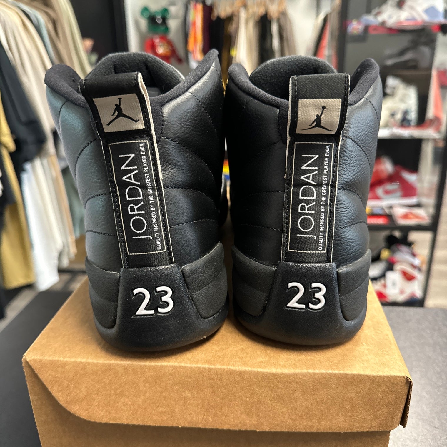 Master Jordan 12 (USED, no box)