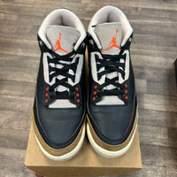 Desert Elephant Jordan 3 (Used, No Box)