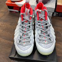 Pure Platinum Foamposite (USED)