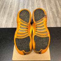 University Gold Jordan 12 (USED, No Box)