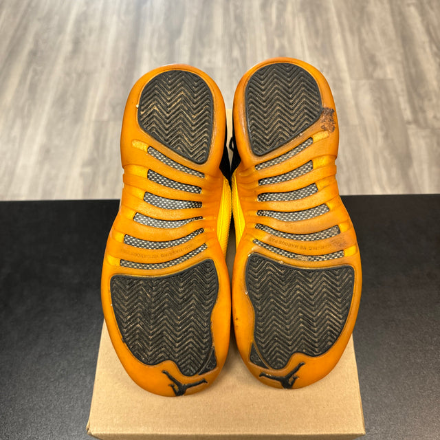 University Gold Jordan 12 (USED, No Box)
