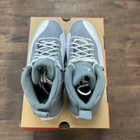 Stealth Jordan 12 (USED)