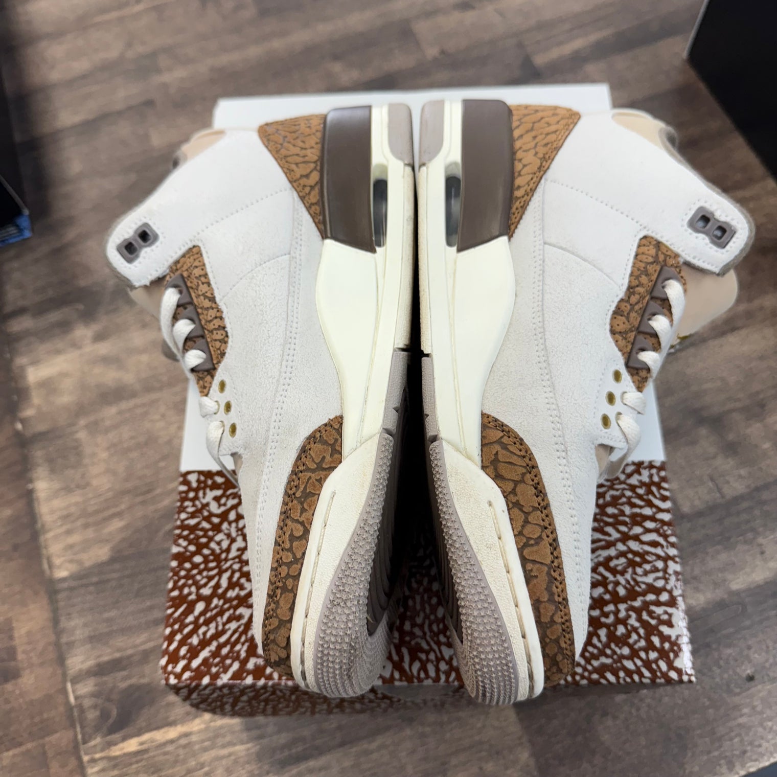Palomino Jordan 3 Retro (USED)