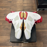 Alternate Hare Jordan 6 (USED)