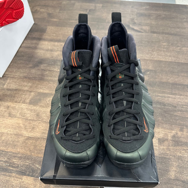 Sequoia Foamposite Pro (USED)