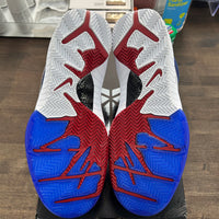 Philly Kobe 4 Protro (Lightly Worn)