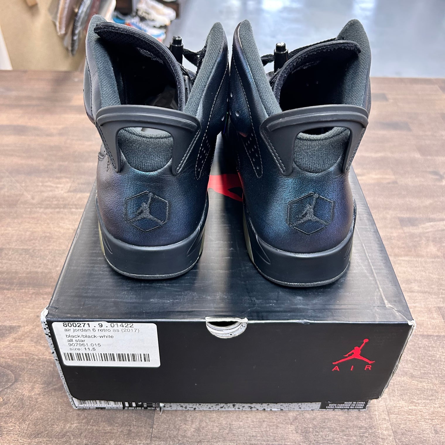 Chameleon Jordan 6 Retro (USED)