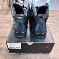 Chameleon Jordan 6 Retro (USED)
