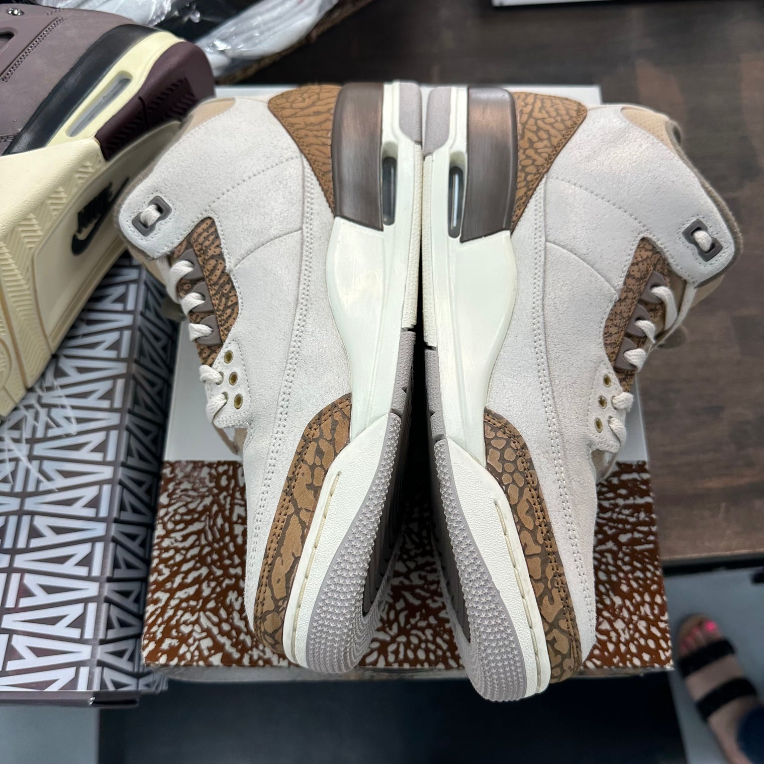 Palomino Jordan 3 (USED)