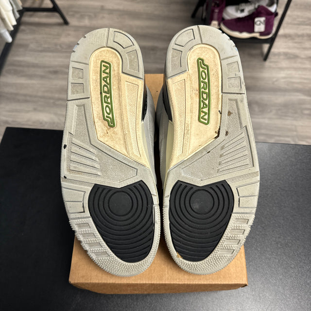 Chlorophyll Jordan 3 (USED, No Box)