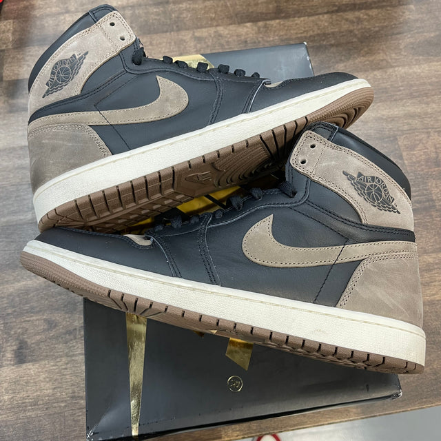 Palomino Jordan 1 High  (USED)