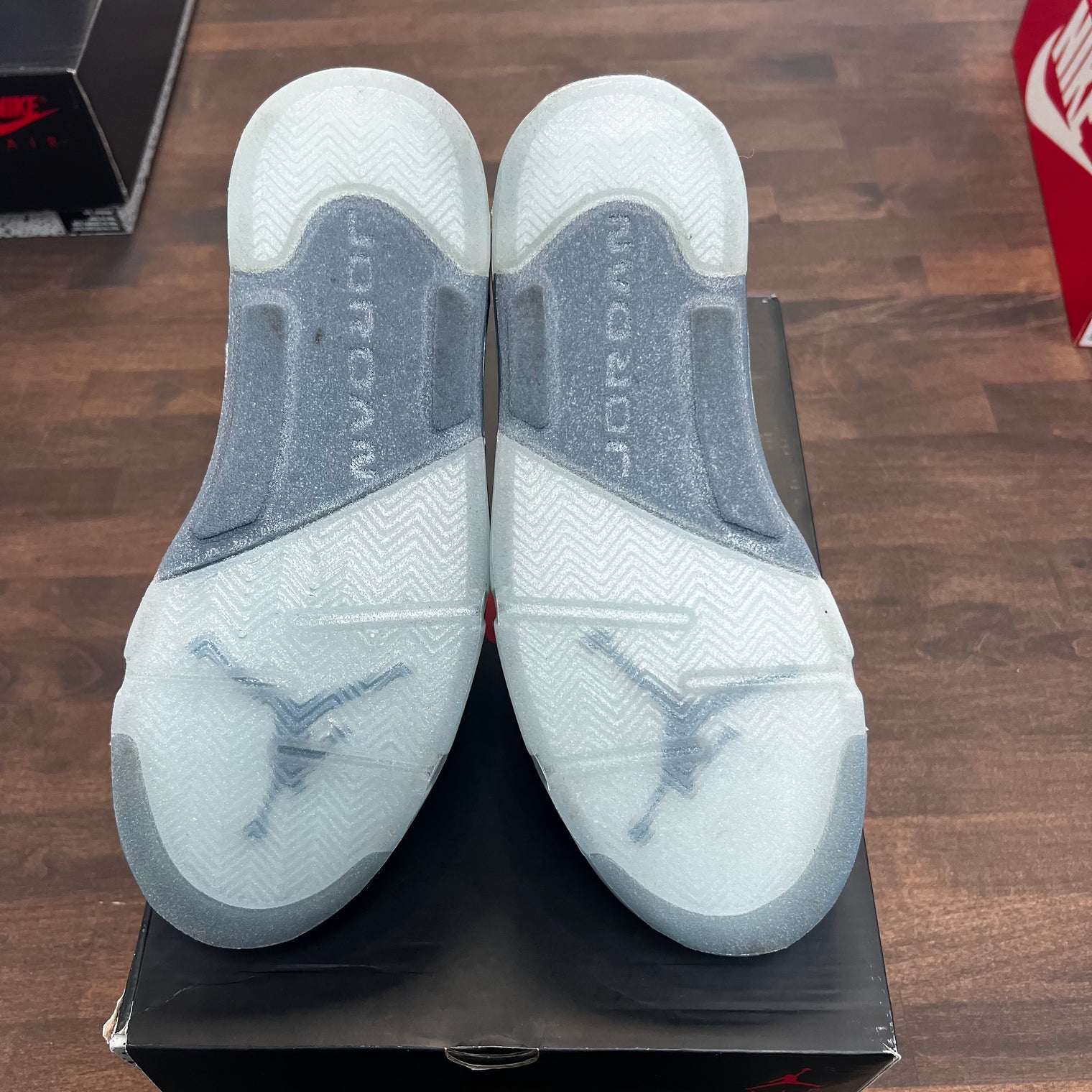 Blue Bird Jordan 5 (W) (USED)