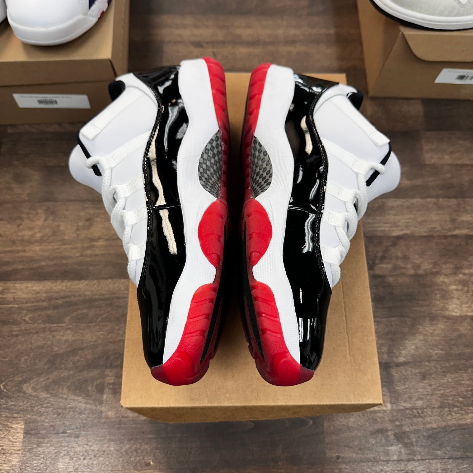 Concord Bred Jordan 11 Low (USED, No Box)