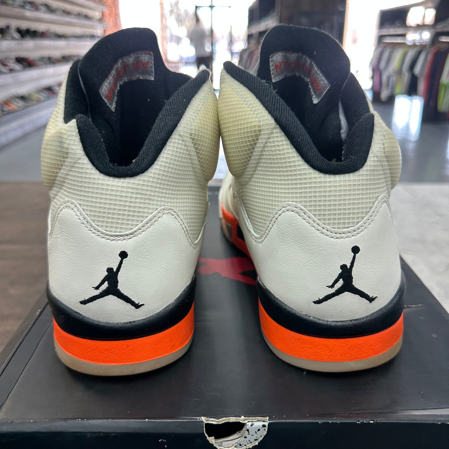 Shattered Backboard Jordan 5 (USED)