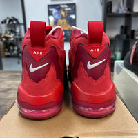 Love Letter to Connie Nike Air DT Max 96 (USED)