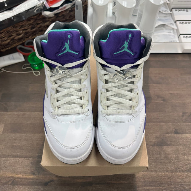 Grape Jordan 5 2013 (USED, No Box)