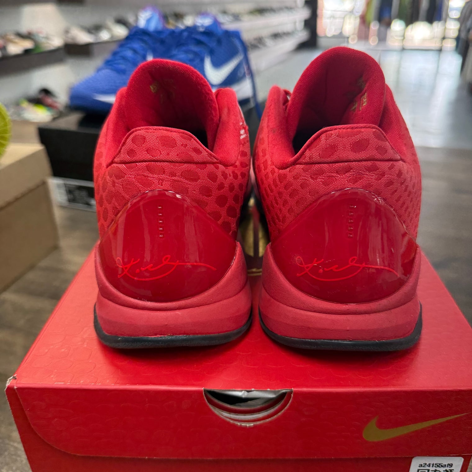 Year of Mamba University Red Kobe 5 (USED)
