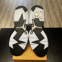 Chrome Jordan 6 (USED, no box)