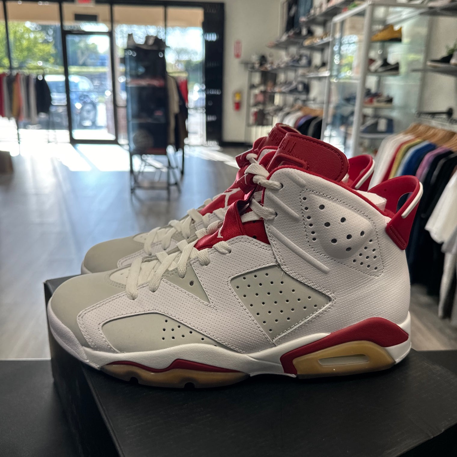 Alternate Hare Jordan 6 (USED)