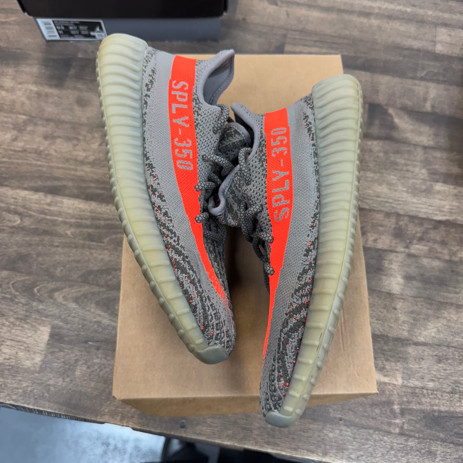 Beluga Yeezy 350 2016 (USED, No Box)