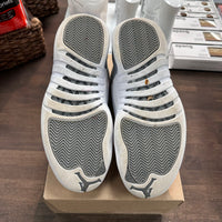Stealth Jordan 12 (USED,No Box)