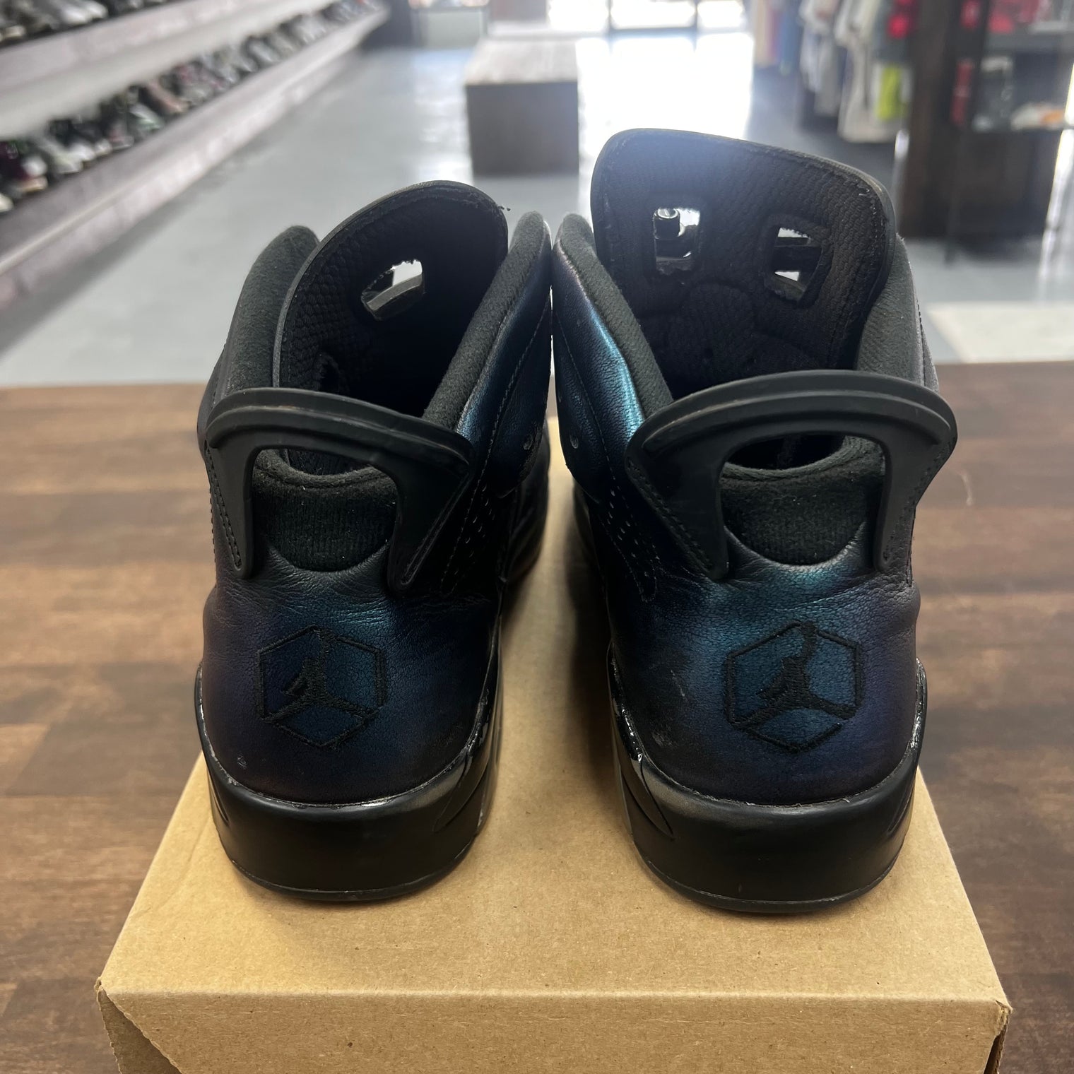Chameleon Jordan 6 Retro (USED)
