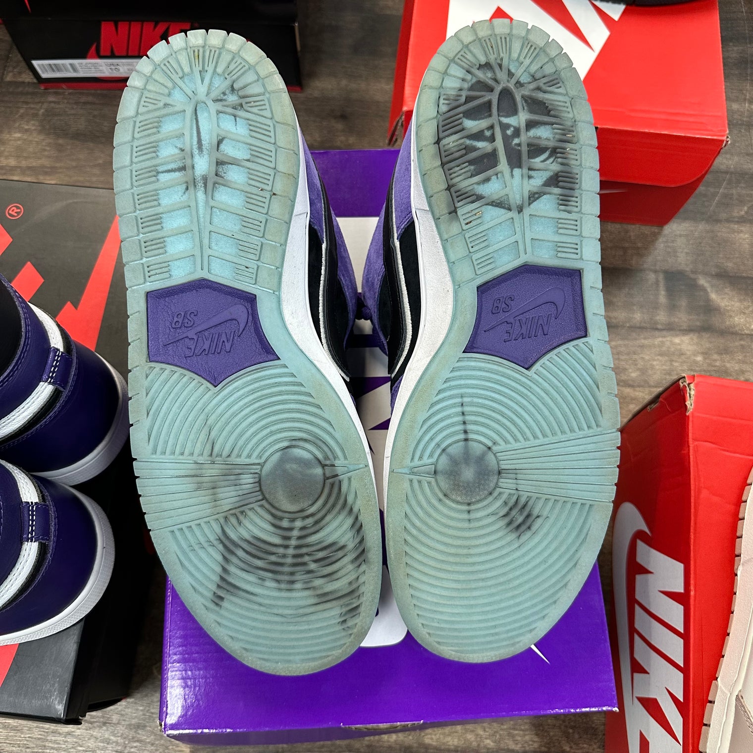 Hayley Wilson Nike SB Dunk Low (USED)